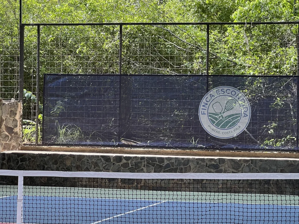 Club crest on a court screen