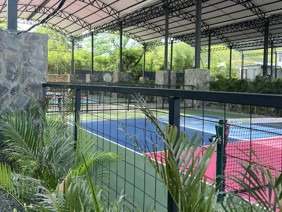 Palms along the fence of the covered pickleball courts