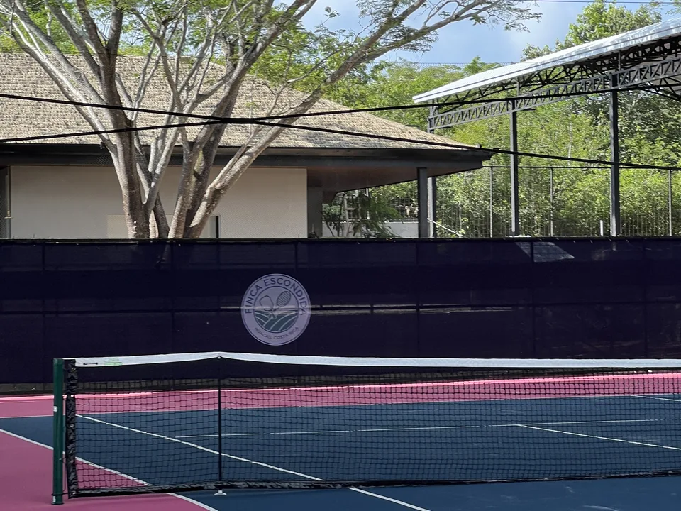 Tennis net and the club crest on the back screen, with the pavilion behind